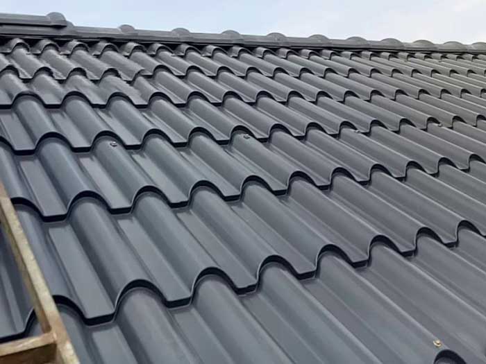 Tôn giả ngói (tôn sóng ngói)