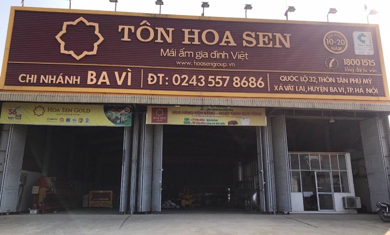Tôn Hoa Sen Ba Vì