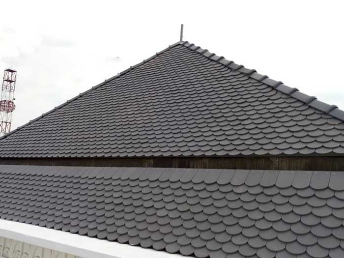 Tôn sóng ngói vảy cá